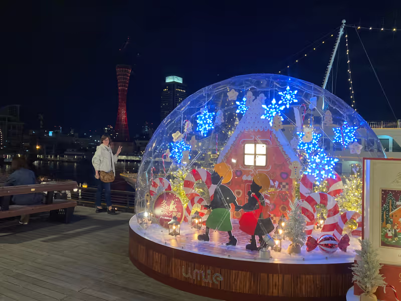 Kobe Private Tour - null