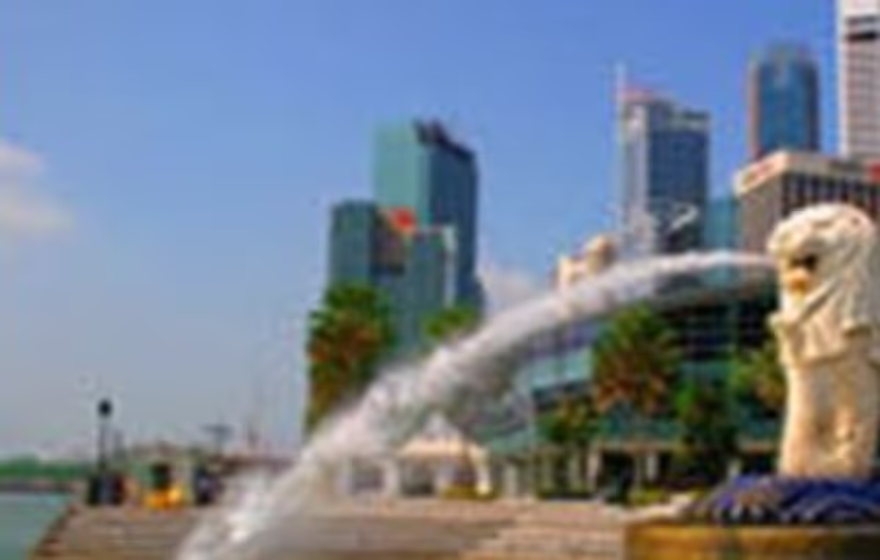 Singapore Private Tour - null