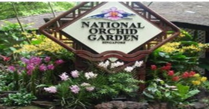Singapore Private Tour - null