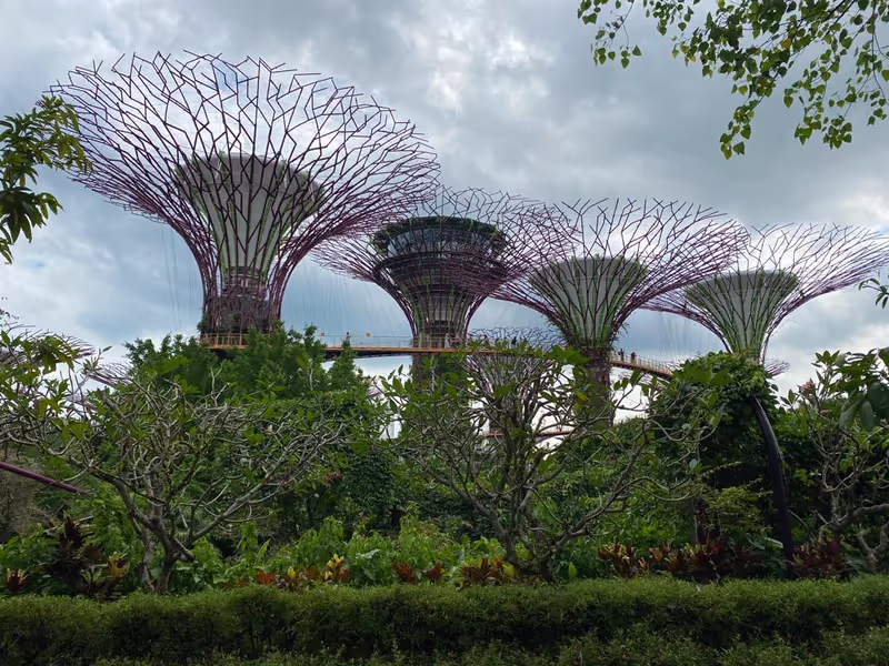 Singapore Private Tour - Gardens by the Bay - SuperTrees