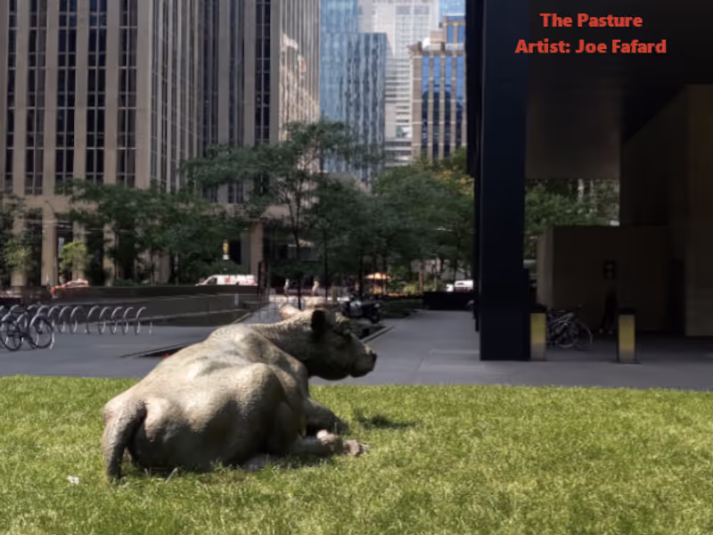 Toronto Private Tour - The Pasture