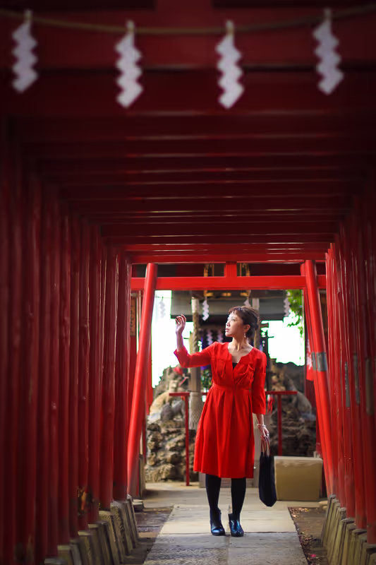 Tokyo Private Tour - null