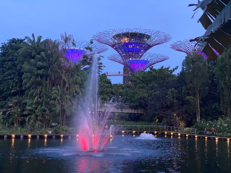 Singapore Private Tour - Gardens by the Bay at night