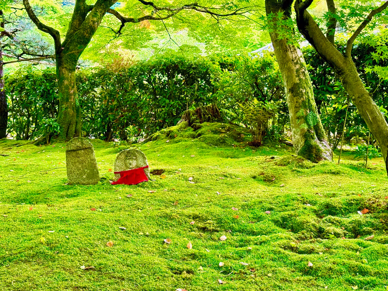 Kyoto Private Tour - Okusaga