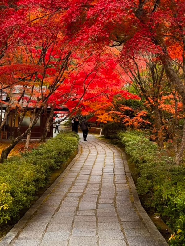 Kyoto Private Tour - Foliage in Saga