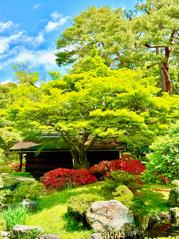 Kyoto Private Tour - The Imperial Palace