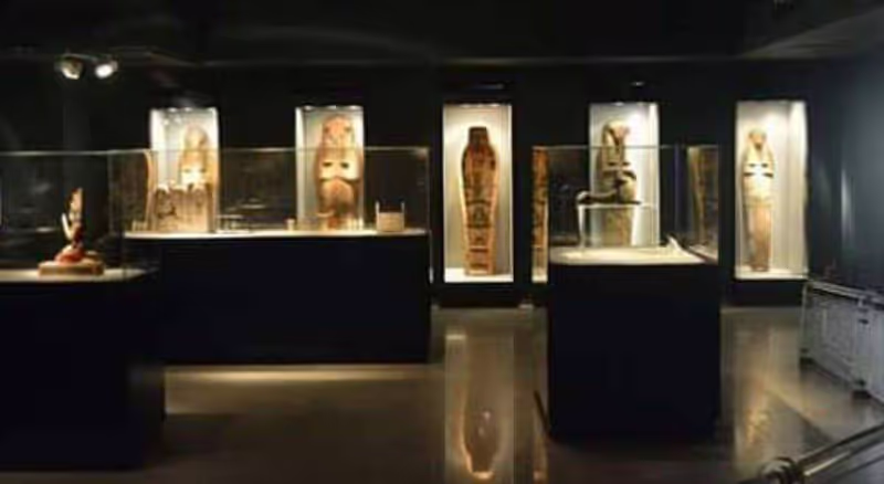 Luxor Private Tour - Mummification Museum