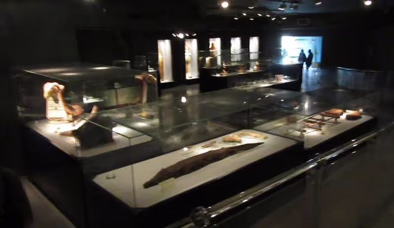 Luxor Private Tour - Mummification Museum