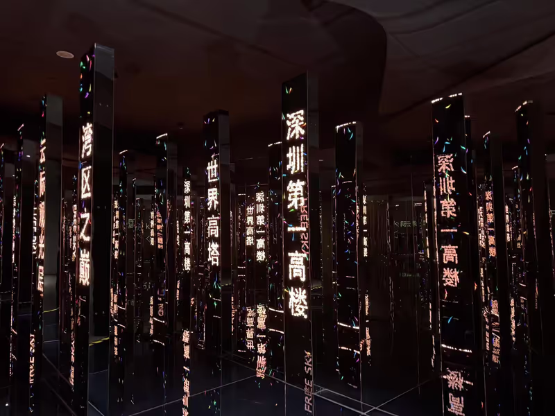 Shenzhen Private Tour - Shenzhen Skyline