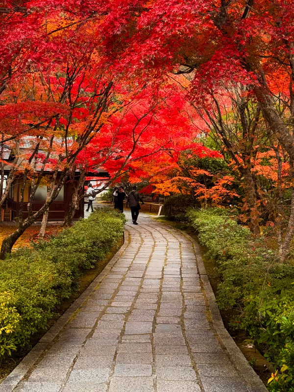 Kyoto Private Tour - Foliage in Saga