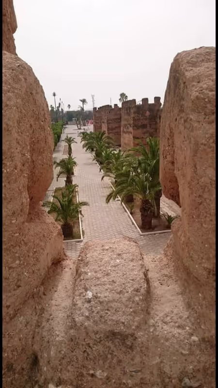 Agadir Private Tour - null