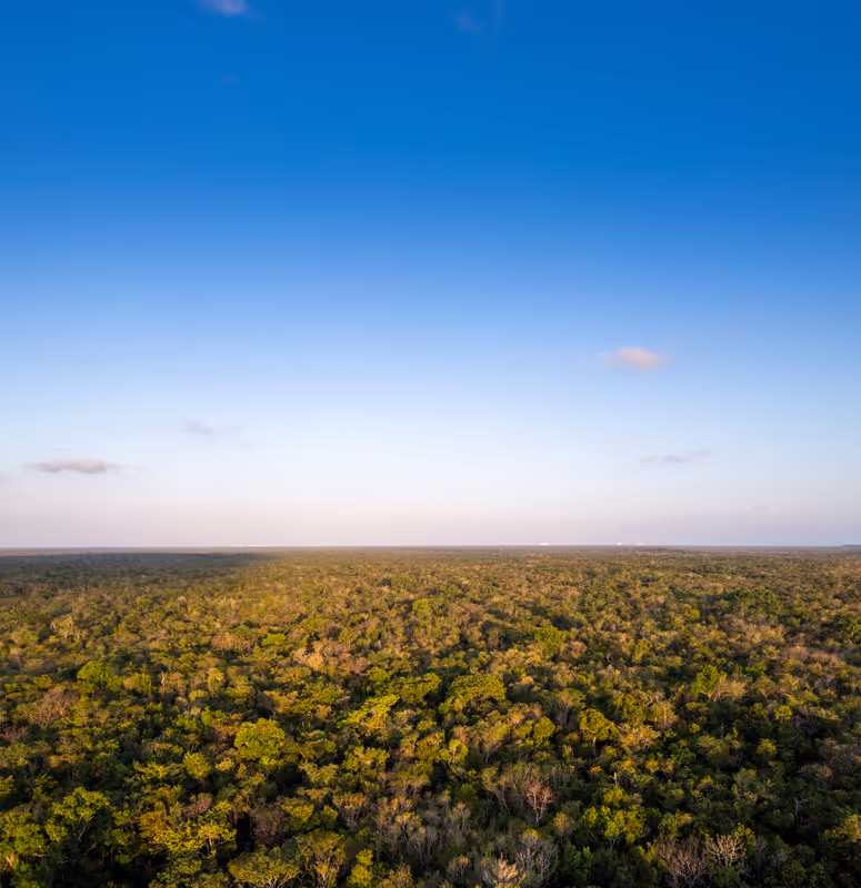 Cozumel Private Tour - Aerial and panoramic view of the Villa Maya reserve site