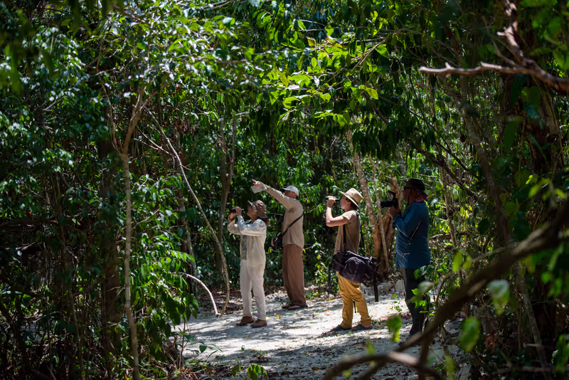 Cozumel Private Tour - Cozumel Island Wildlife Observation