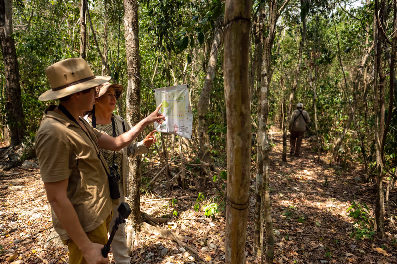 Cozumel Private Tour - Interpretive trails of the Villa Maya reserve
