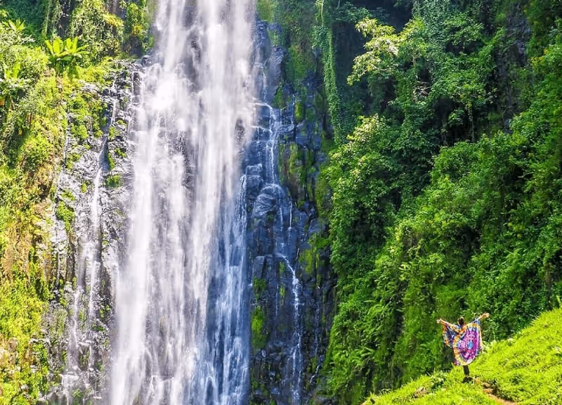 Moshi Private Tour - Materuni Water Falls