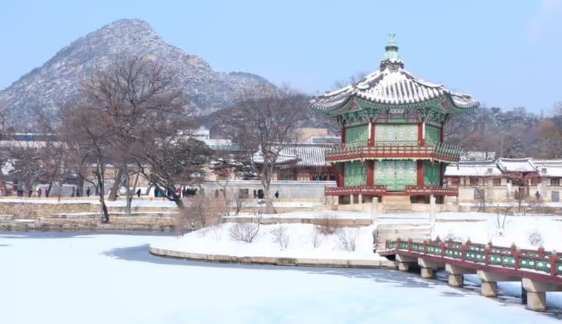 Seoul Private Tour - Gyeongbok palace in Winter