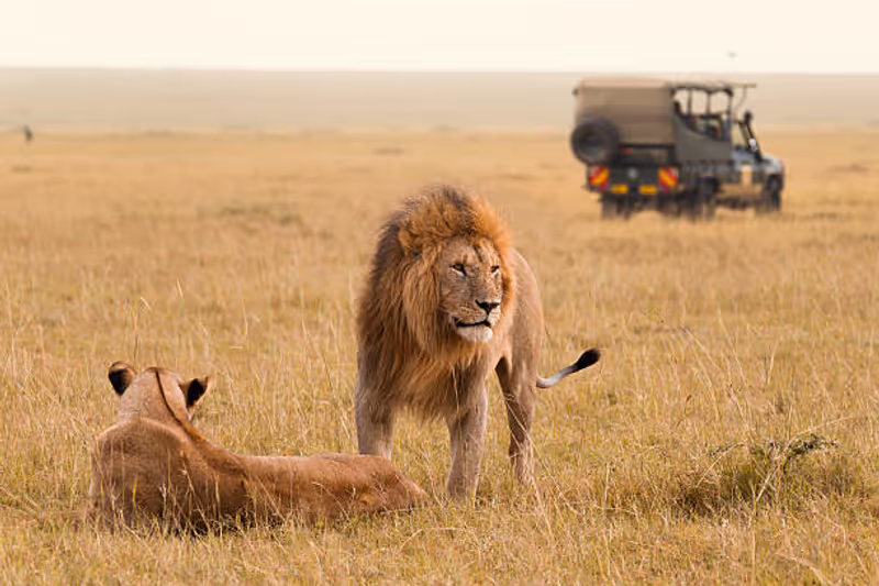Nairobi Private Tour - At Maasai Mara