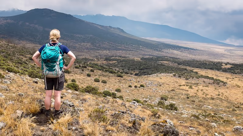 Moshi Private Tour - Shira Route hiking