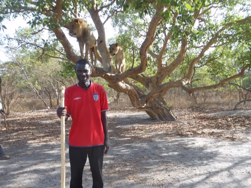 Dakar Private Tour - Lion walk