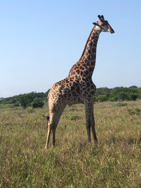 Maputo Private Tour - 