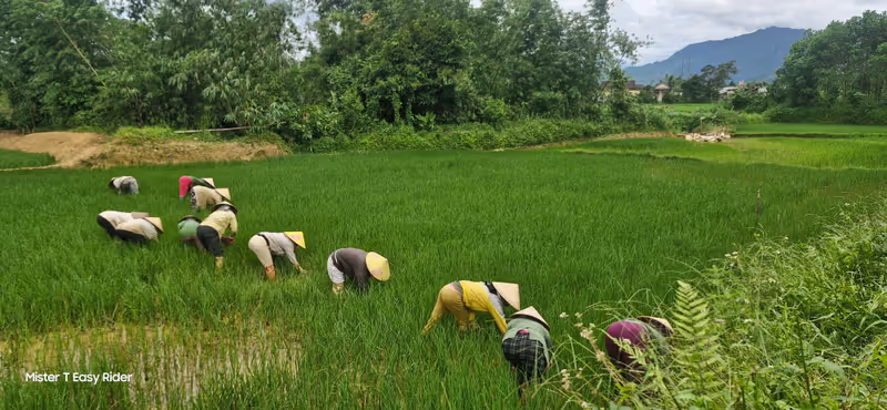 Thua Thien Private Tour - 
