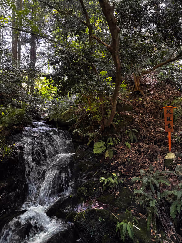 Kanazawa Private Tour - Shirayama Hime Shrine