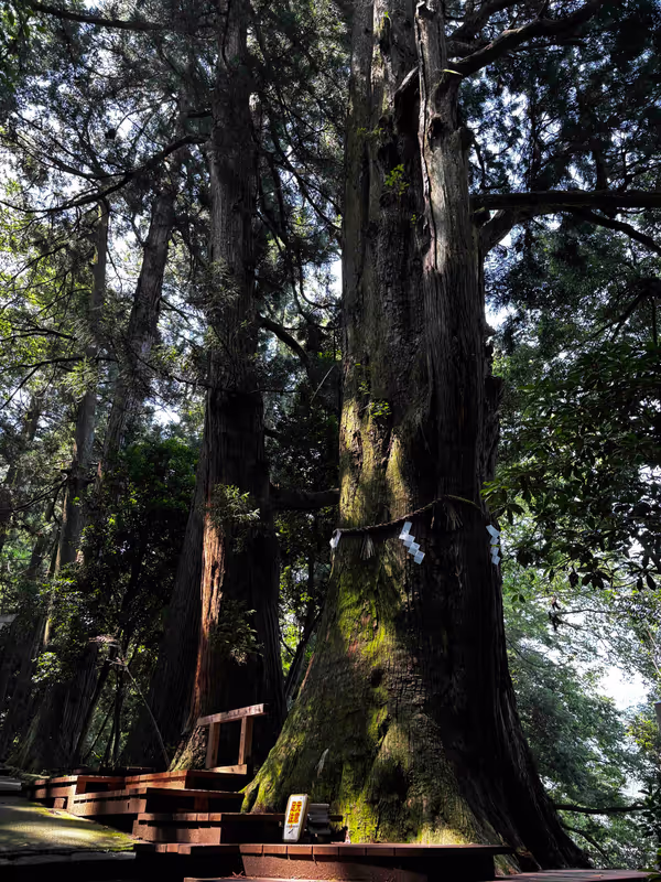 Kanazawa Private Tour - Shirayama Hime Shrine