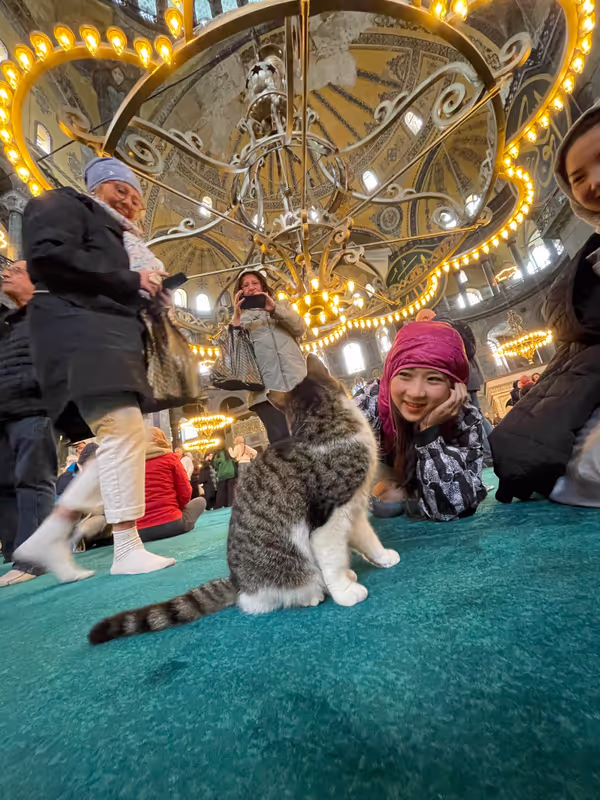 Istanbul Private Tour - 