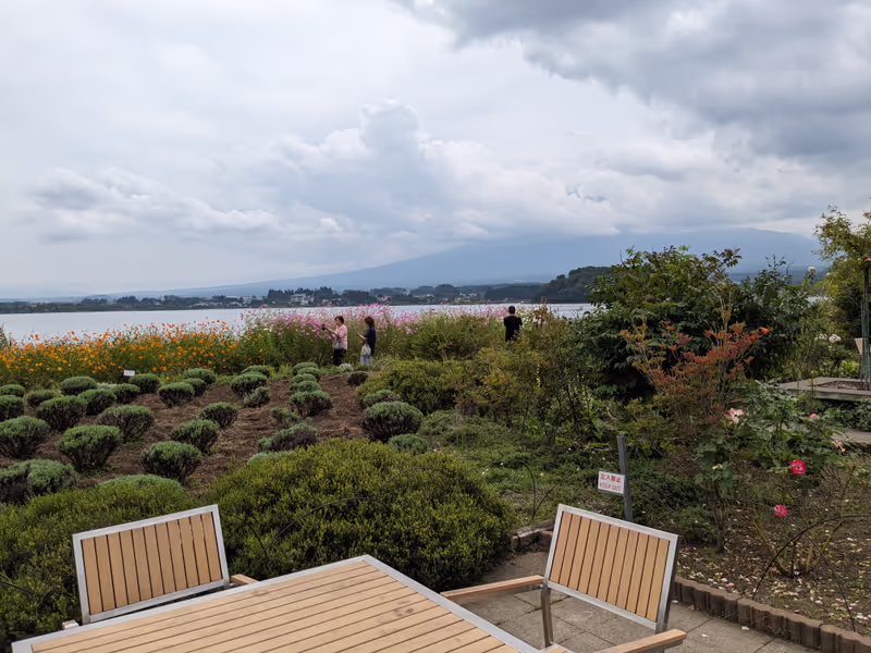 Tokyo Private Tour - Ohishi park with Mt.Fuji viewing