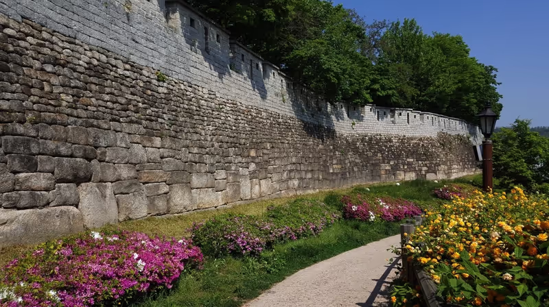 Seoul Private Tour - Citywall in Summer