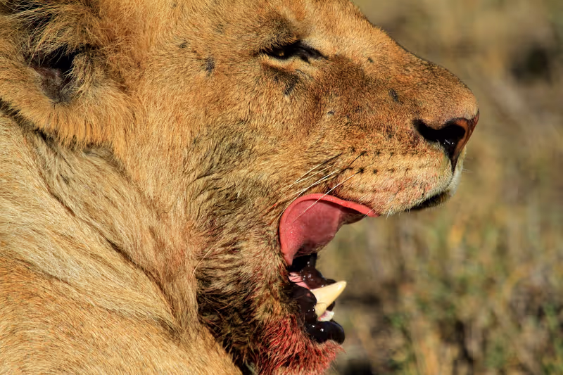 Arusha Private Tour - 