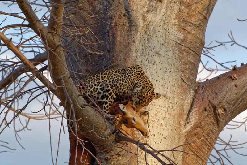 Arusha Private Tour - 