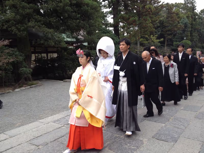 Kamakura Private Tour - Wedding procession in Hachimangu Shrine