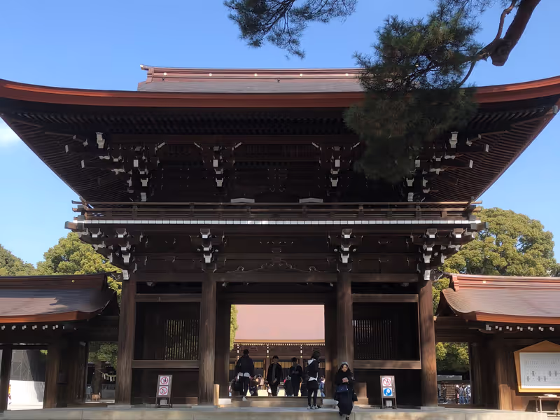 Tokyo Private Tour - The Main Gate