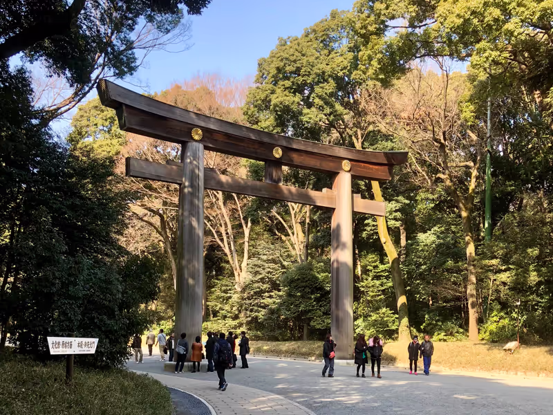 Tokyo Private Tour - The Great Torii Gate