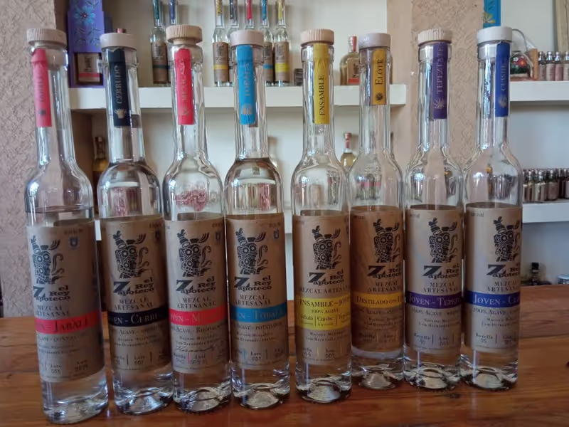 Mexico City Private Tour - Own Mezcal.