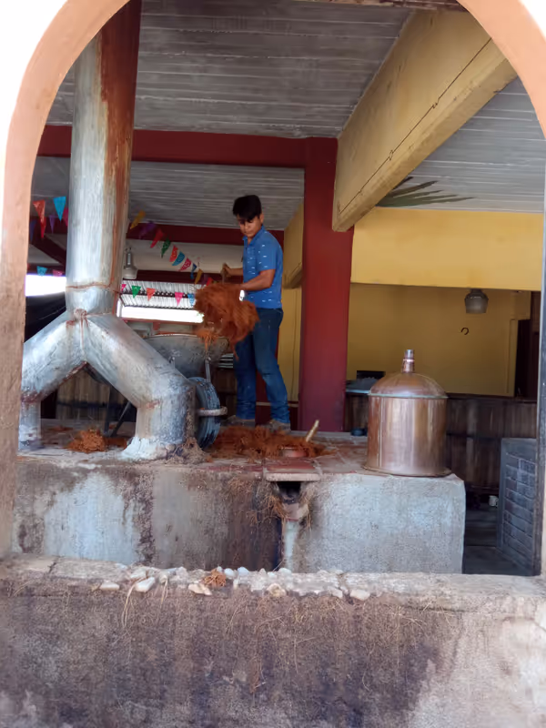 Mexico City Private Tour - Mezcal factory tour
