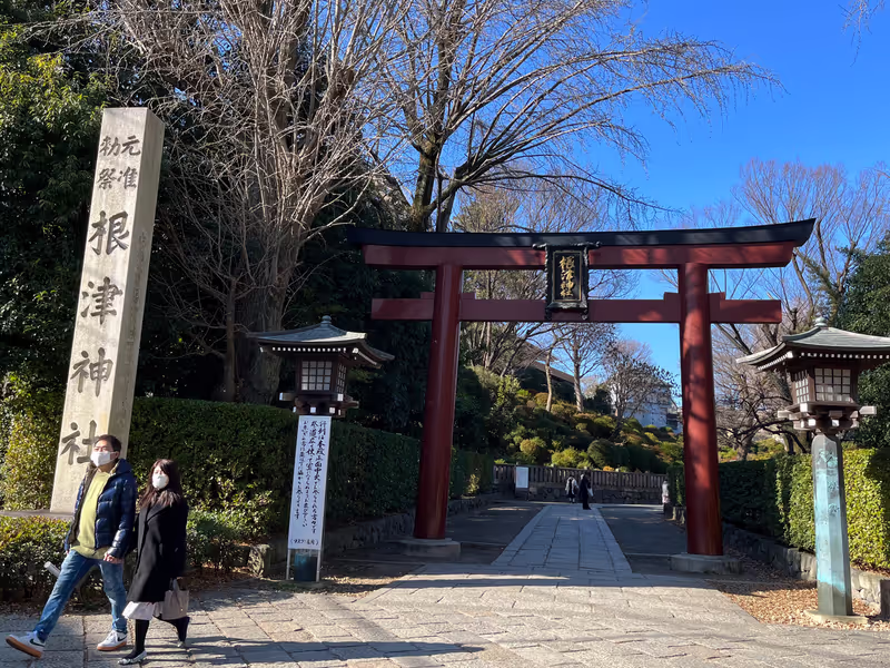 Tokyo Private Tour - Entrance to the Nezu Shrine
