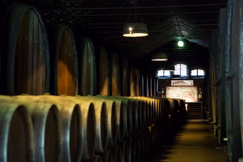 Lisbon Private Tour - Azeitao local winecellar