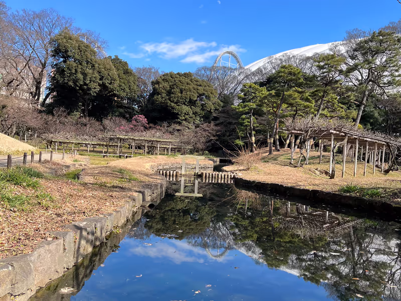 Tokyo Private Tour - A landscape in Koishikawa Korakuen