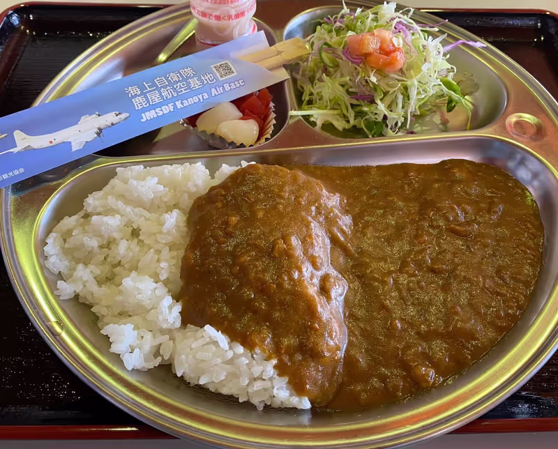Kagoshima Private Tour - Navy Curry