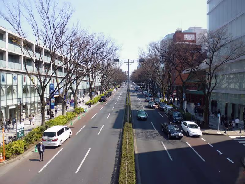 Tokyo Private Tour - Omote Sando, which is the main approach to Meiji Shrine, is famous as a high- end shopping street. If you are going to look for something like Japanese as souvenirs, it is good for you to pop in a famous shop, Oriental Bazaar.