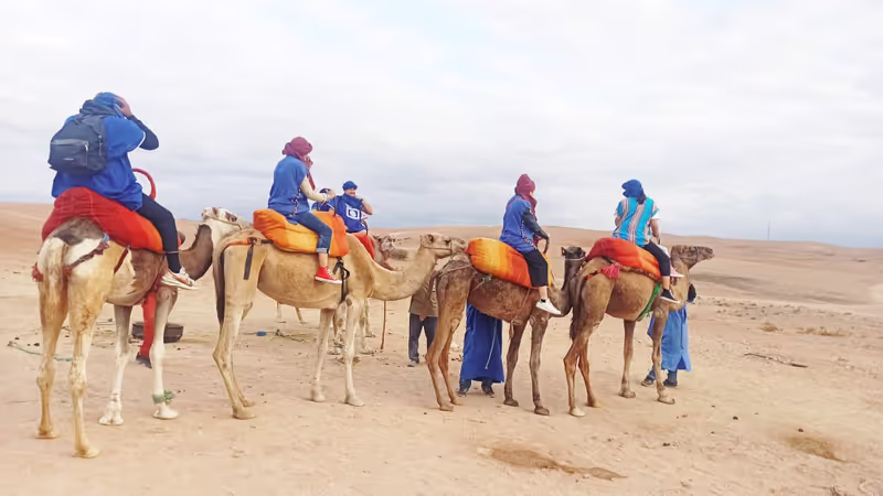 Marrakech Private Tour - Agafay Desert Sunset Camel Ride