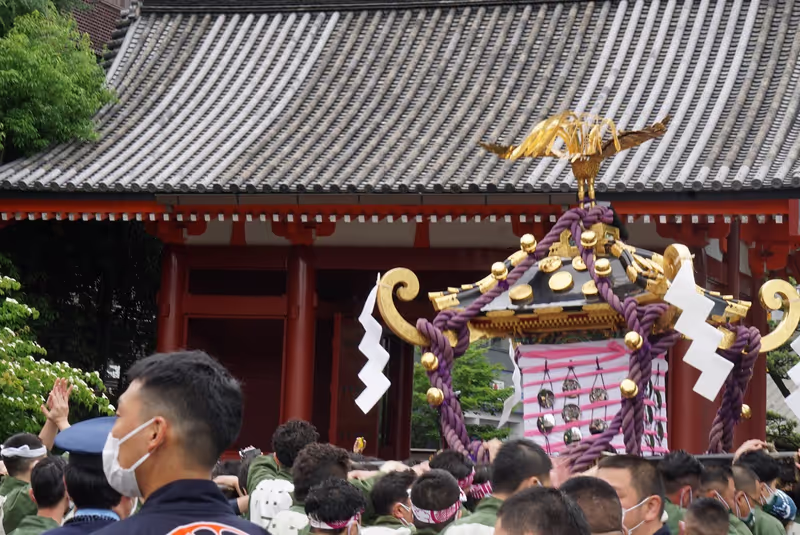 Tokyo Private Tour - Sanja Festival in Asakusa Sensoji Temple