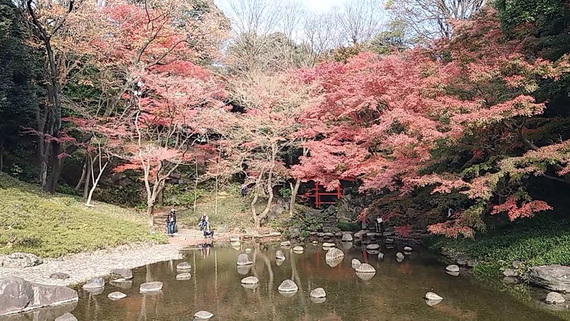 Tokyo Private Tour - Autumn leaves at Koishikawa Garden