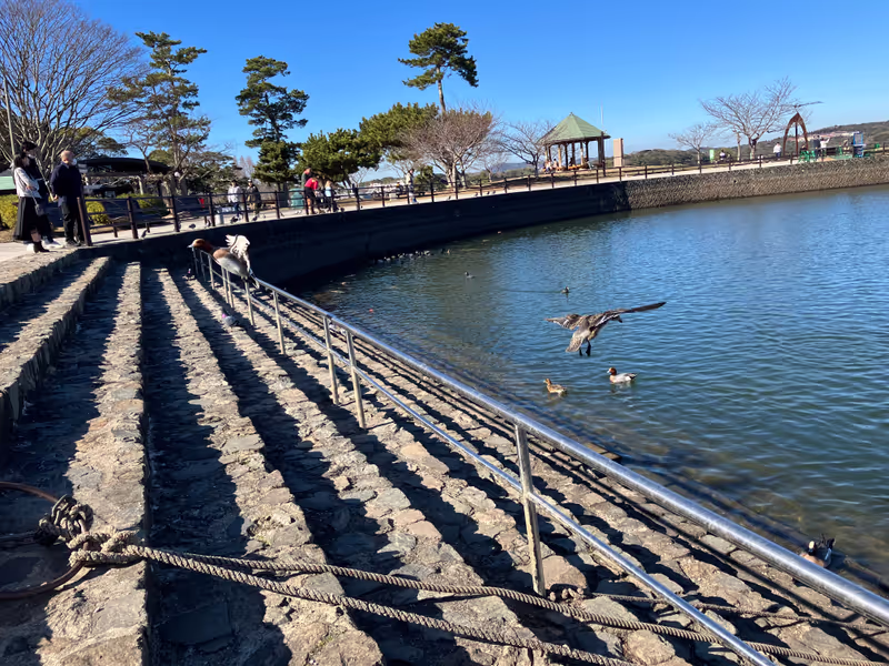 Yamaguchi Private Tour - Tokiwa lake