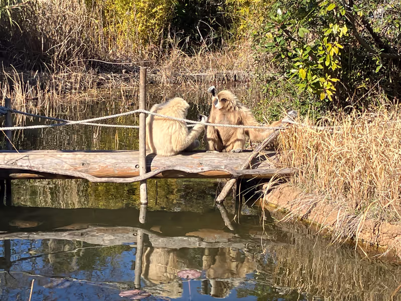 Yamaguchi Private Tour - Tokiwa zoo