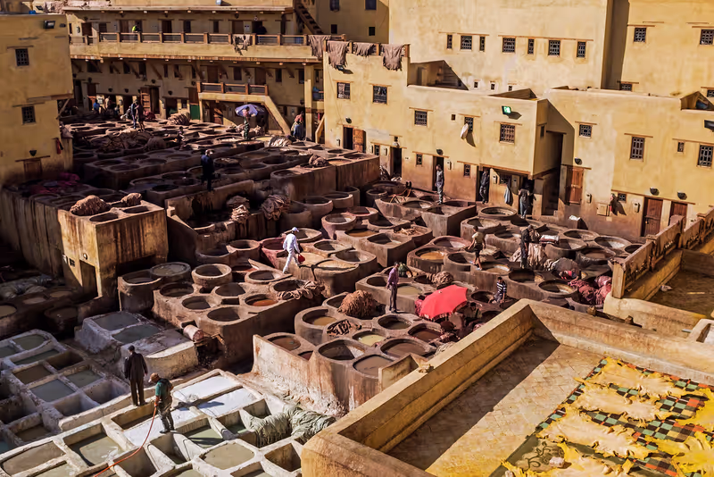Fes Private Tour - Tannery