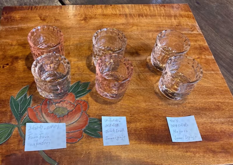 Kagawa Private Tour - Coffee, olive tea, or sake tasting.