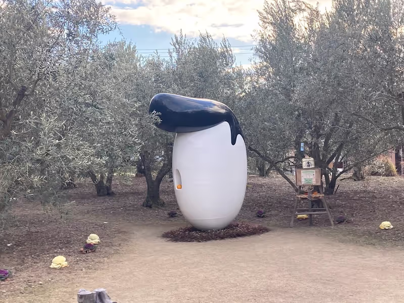 Kagawa Private Tour - Meet an olive fairy, Olive regent.